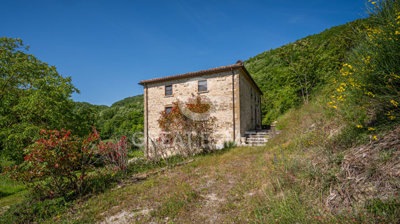 Photo_12