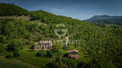 Photo_3