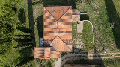 Photo_10