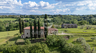 Photo_12