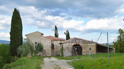 Photo_15