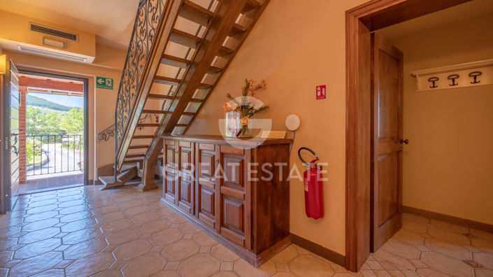Image No.42-13 Bed Country House for sale
