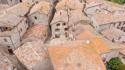 Photo_3