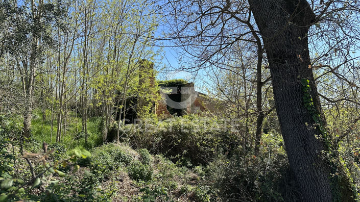 Image No.31-Country House for sale