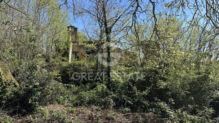 Image No.32-Country House for sale