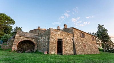 Photo_8
