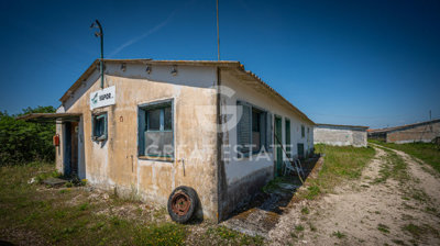 Photo_16