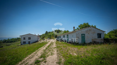 Photo_18
