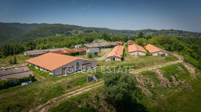 Photo_2
