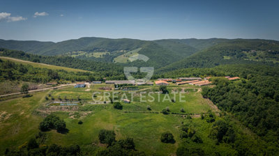 Photo_3