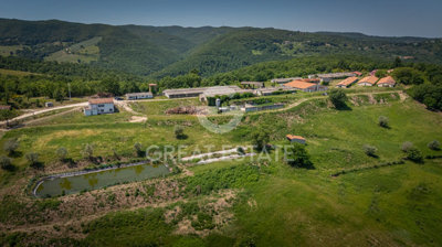 Photo_4