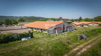 Photo_6