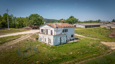 Photo_8