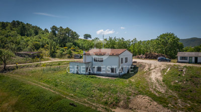 Photo_10