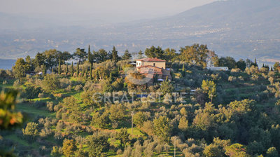 Photo_10