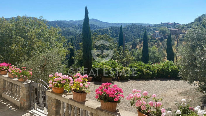 Image No.21-12 Bed Country House for sale