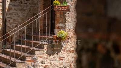 Photo_12