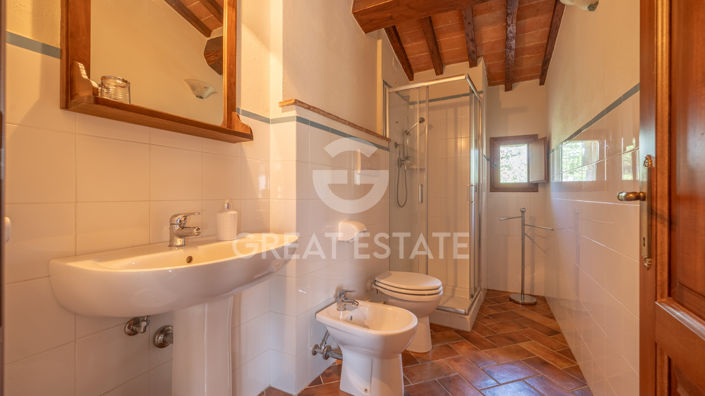 Image No.41-12 Bed Country House for sale