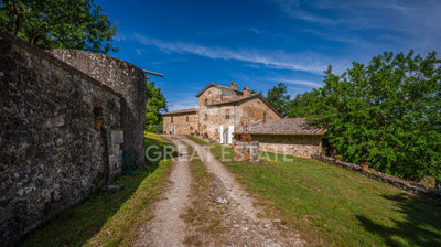 Photo_8