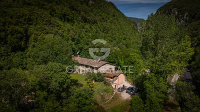 Photo_4