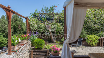 Photo_12
