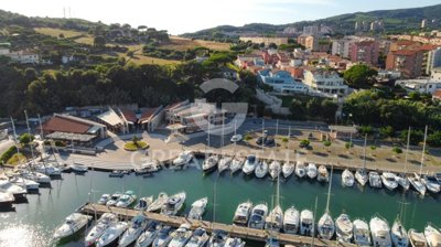 Photo_12