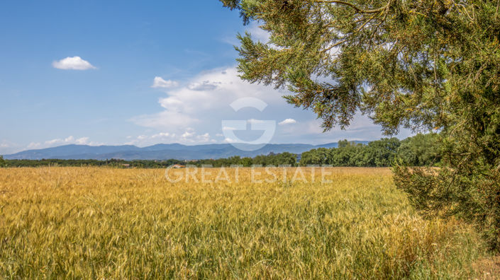 Image No.31-3 Bed Country House for sale