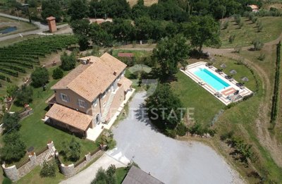 Photo_1