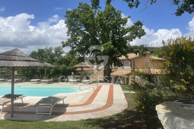 Photo_3