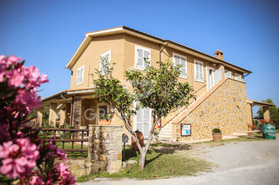 Photo_7