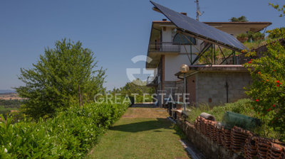 Photo_12