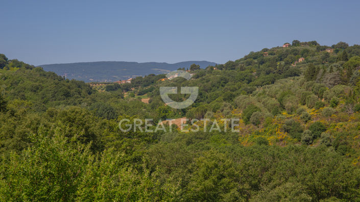 Image No.39-7 Bed Villa for sale