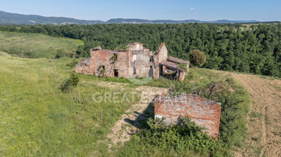Photo_4
