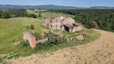Photo_5