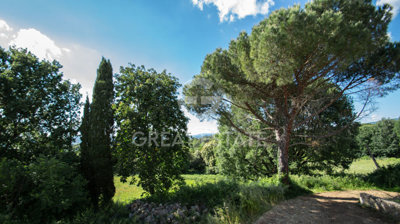 Photo_14
