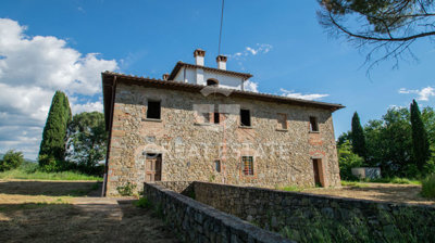 Photo_3