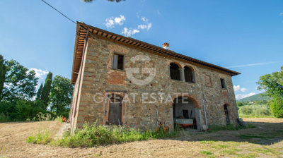 Photo_4
