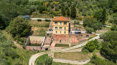 Photo_4