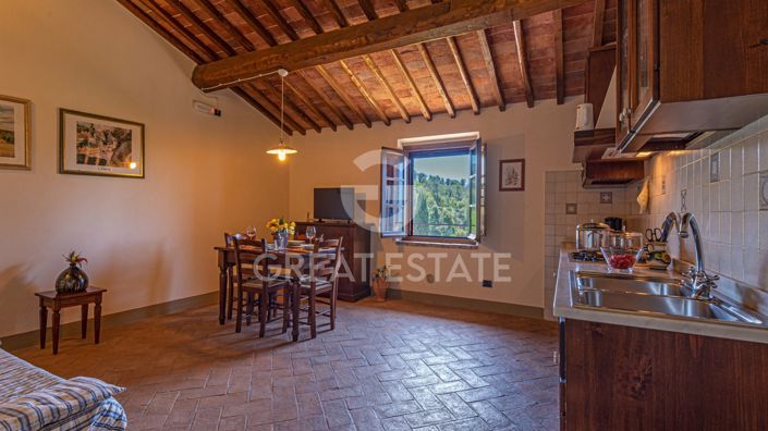 Image No.2-11 Bed Country House for sale