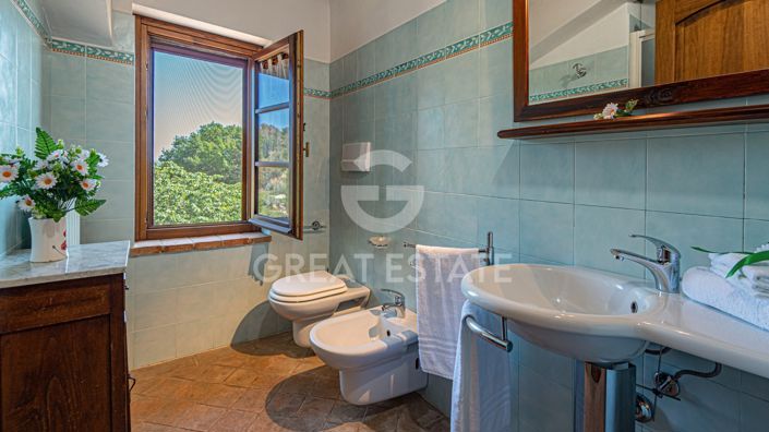 Image No.33-11 Bed Country House for sale