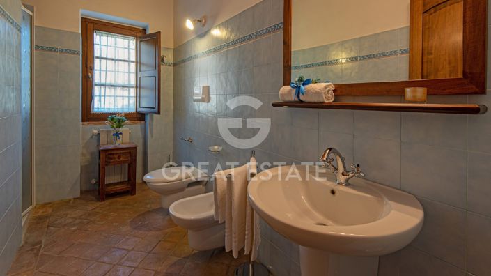 Image No.42-11 Bed Country House for sale