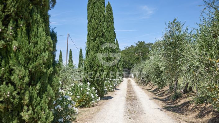 Image No.25-7 Bed Country House for sale