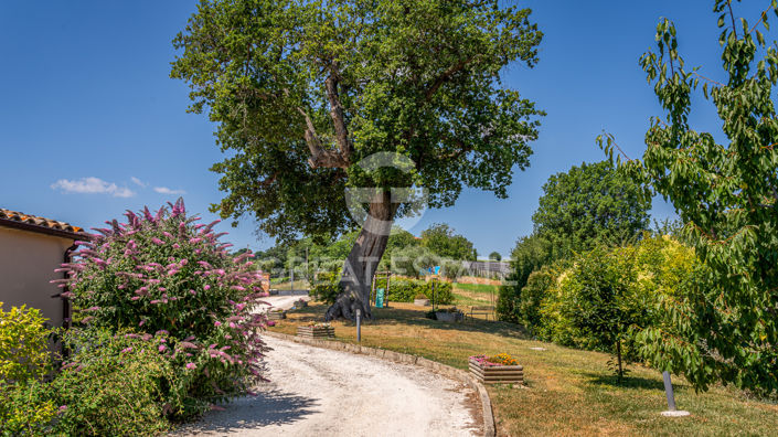 Image No.20-9 Bed Country House for sale