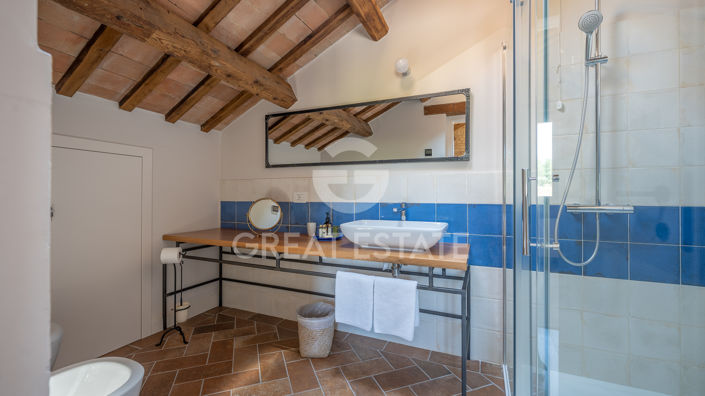 Image No.43-9 Bed Country House for sale