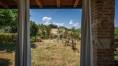 Photo_12