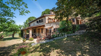 Photo_3