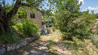 Photo_4