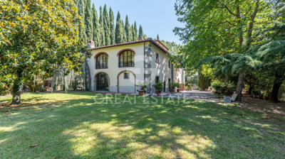 Photo_3