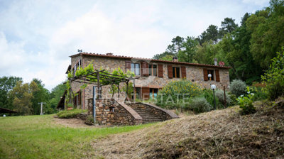 Photo_12