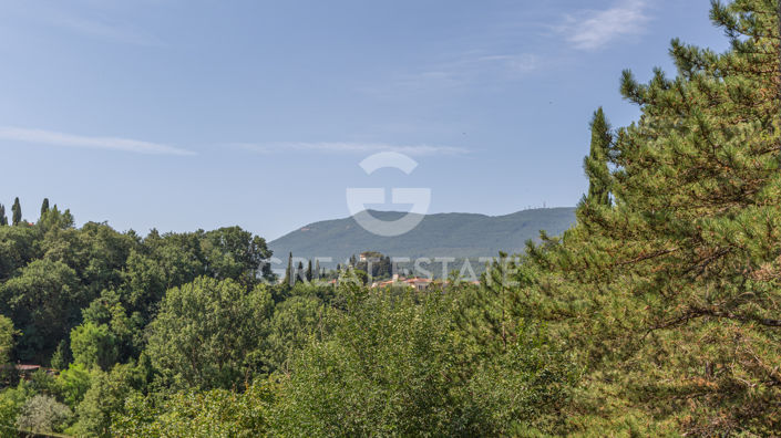 Image No.44-4 Bed Country House for sale